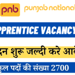 PNB Apprentice Vacancy 2024:Notification