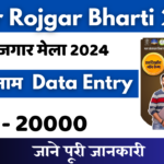 Bihar Rojgar mela Bharti 2024: